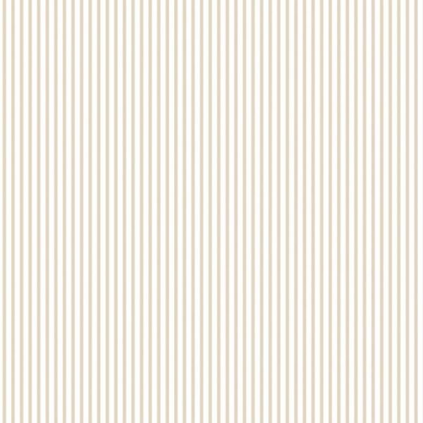 Papel de Parede LINE ART - Cód. CS66065