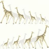 Papel de Parede  dwell Studio DW2362