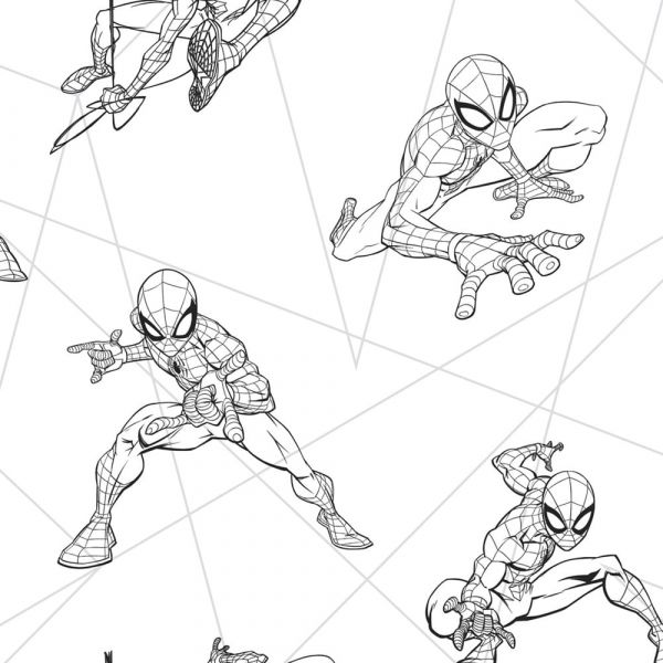 Papel de parede Disney Homem Aranha ref.DI0940