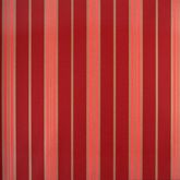 Papel de parede vinílico Classic Stripes Cód. CT889116
