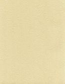 Papel de parede vinílico,Trend cód.8448