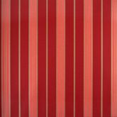 Papel de parede vinílico Classic Stripes Cód. CT889116